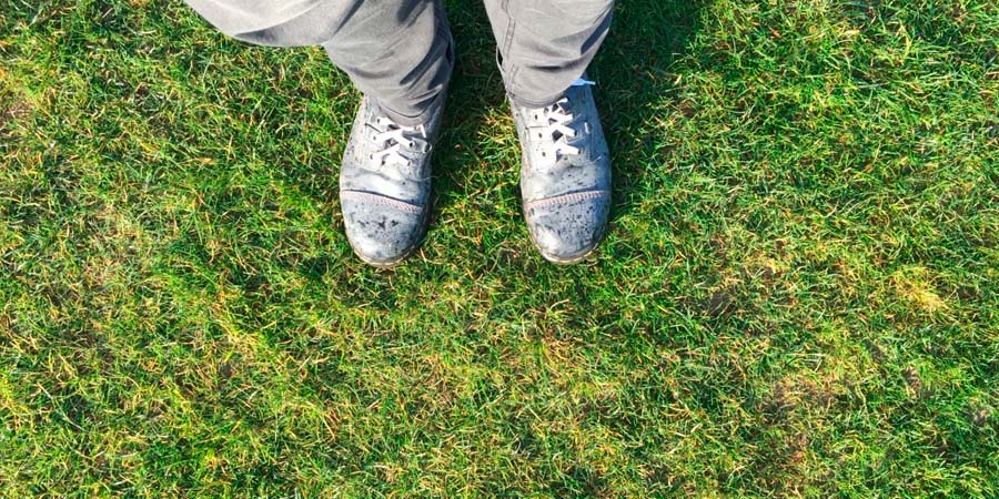Как защитить газон от вытаптывания