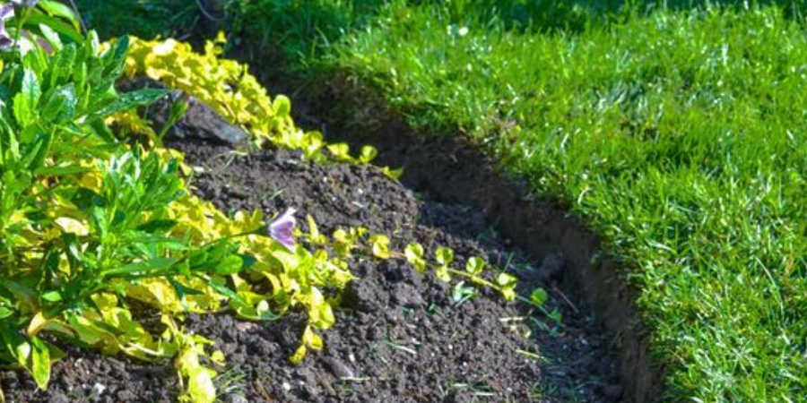 АНГЛИЙСКАЯ КРОМКА ГАЗОНА КАК СДЕЛАТЬ