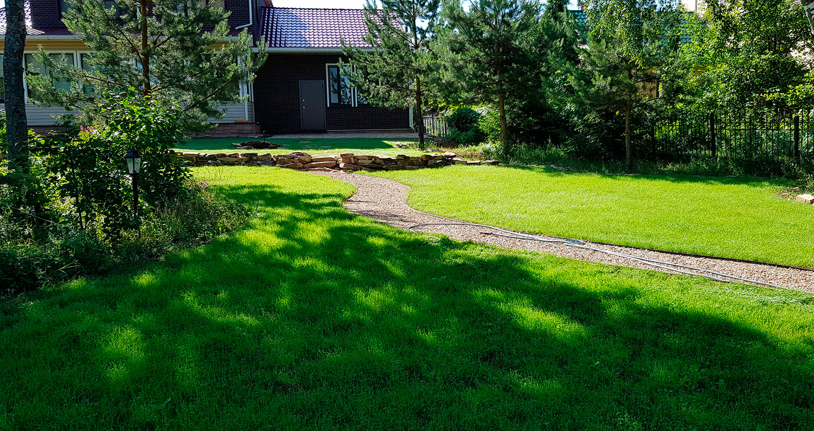 ГАЗОНА НА УЧАСТКЕ