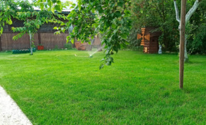 Плюсы и минусы газона на дачном участке: взвешиваем «за» и «против