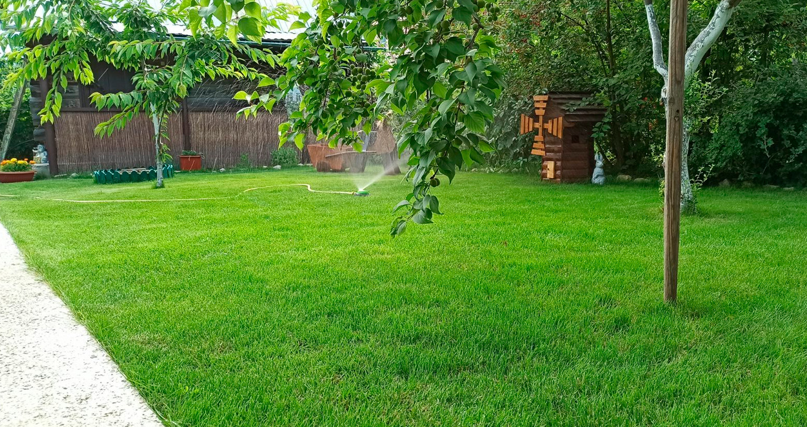 ГАЗОН НА УЧАСТКЕ