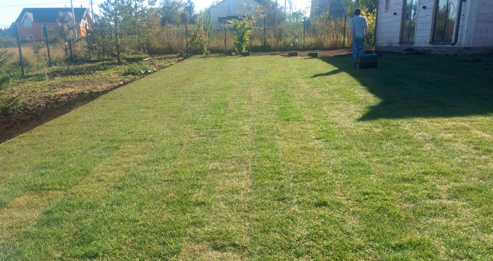 ГАЗОНА НА УЧАСТКЕ