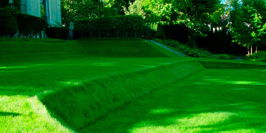 ИЗУМРУДНОГО ГАЗОНА НА УЧАСТКЕ