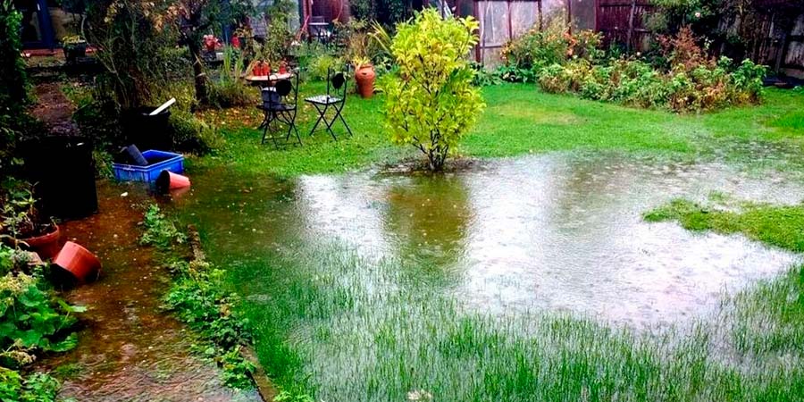 ЛУЖИ НА ГАЗОНЕ