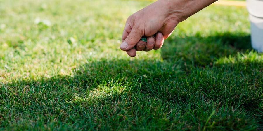 ПОДСЕВ ГАЗОННОЙ ТРАВЫ