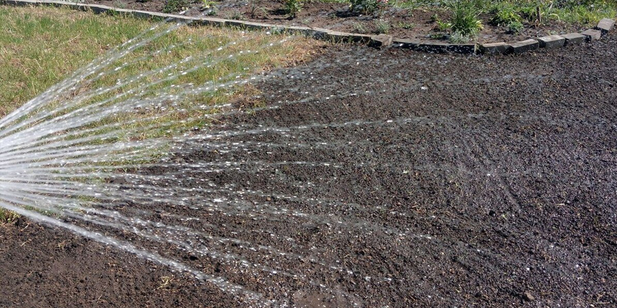 ПОЛИВ СЕМЯН ГАЗОНА ПОСЛЕ ПОСАДКИ