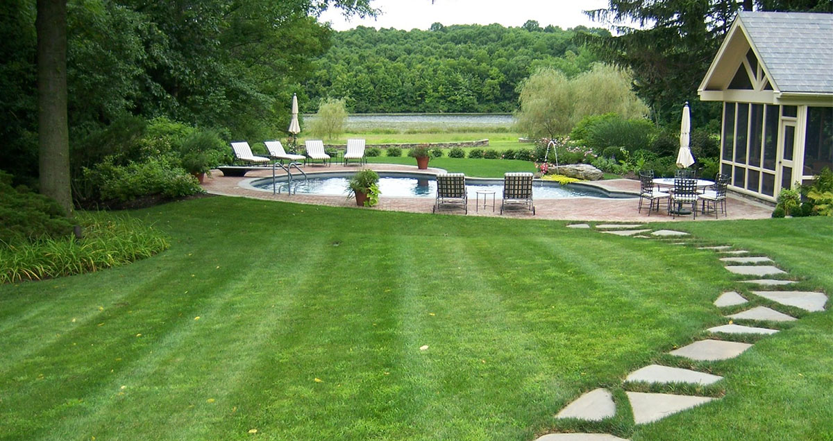 ГАЗОНА НА УЧАСТКЕ