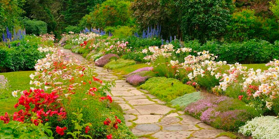 КЛУМБЫ В САДУ НАТУРГАРДЕН