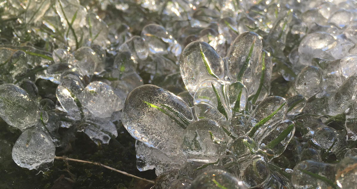 ЛЕД НА ГАЗОНЕ