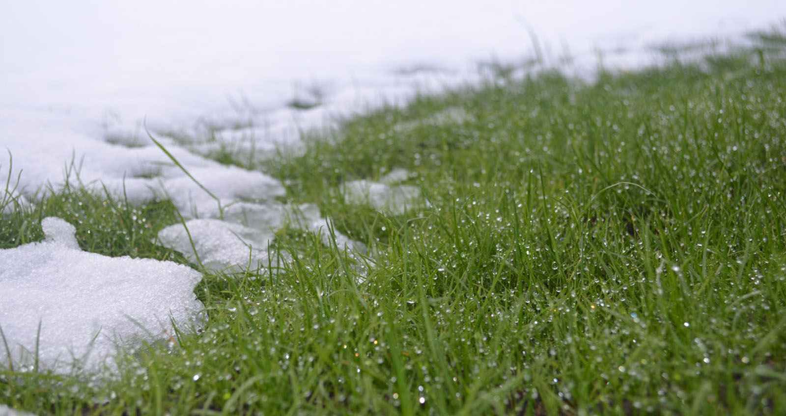 ЛЕДЯНОЙ ДОЖДЬ