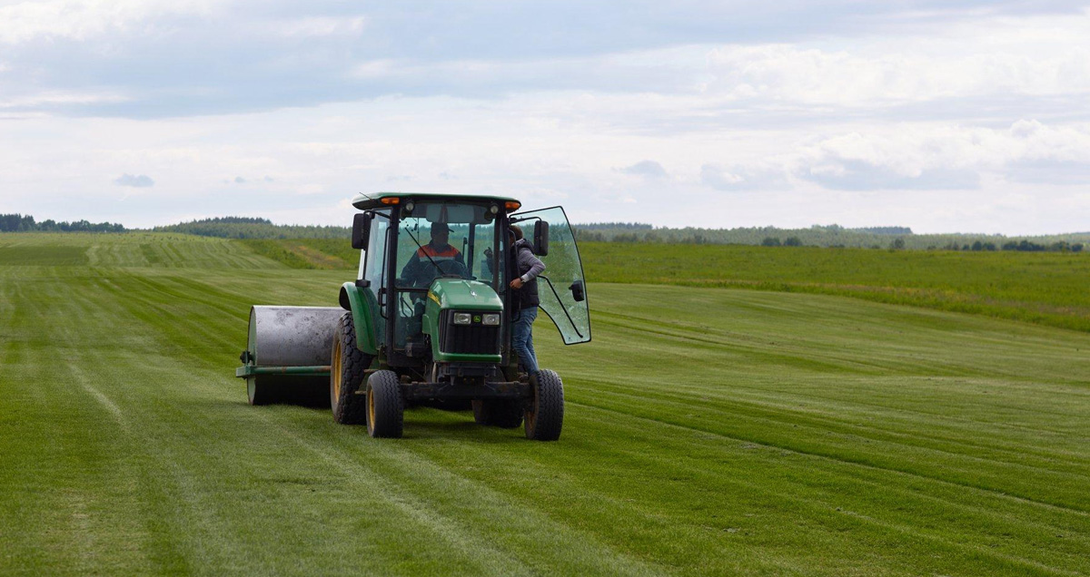 ПРИКАТЫВАНИЕ ГАЗОНА