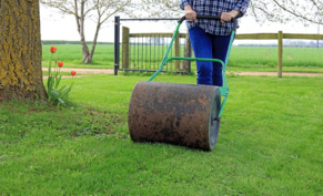 Прикатывание газона: зачем это нужно, когда и как проводить