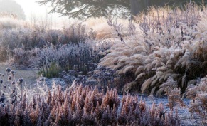Натургарден — как создать сад в природном стиле на участке