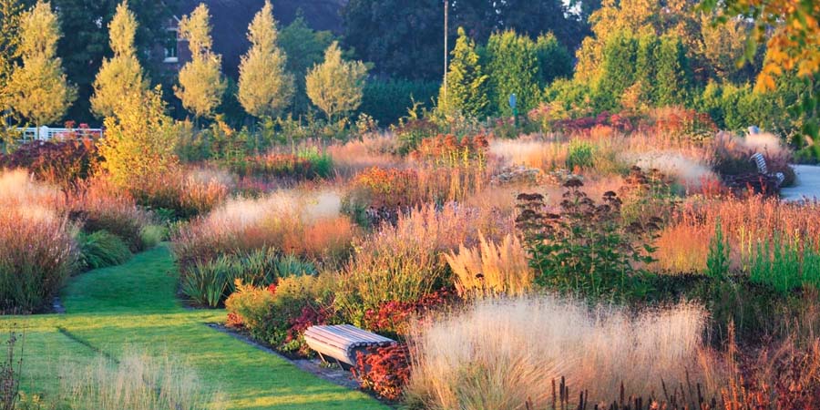 САД НАТУРГАРДЕН ОСЕНЬЮ