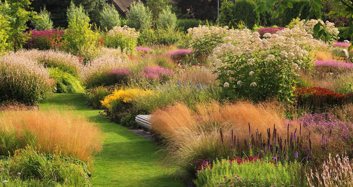 ТЕПЛЫЕ ТОНА В САДУ