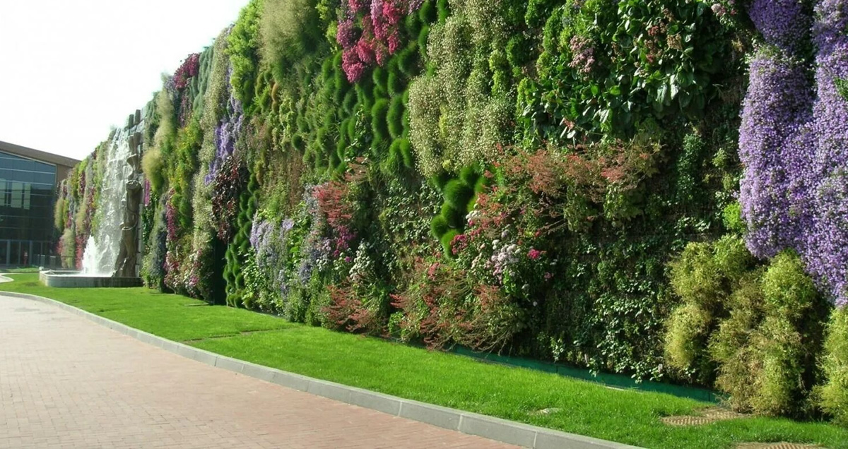 ВЕРТИКАЛЬНОЕ ОЗЕЛЕНЕНИЕ В САДУ