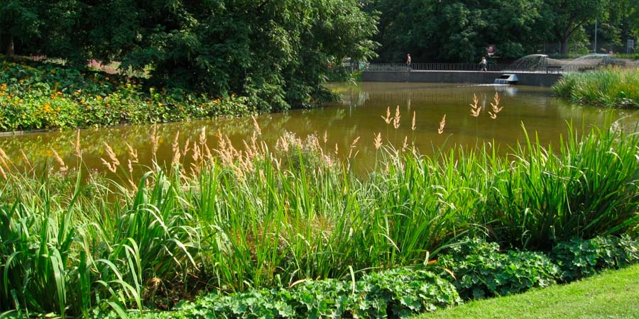 ВОДОЕМЫ В САДУ НАТУРГАРДЕН