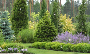 Искусство визуального увеличения площади участка