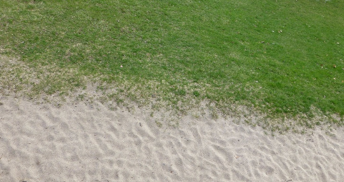 ГАЗОН НА ПЕСКЕ