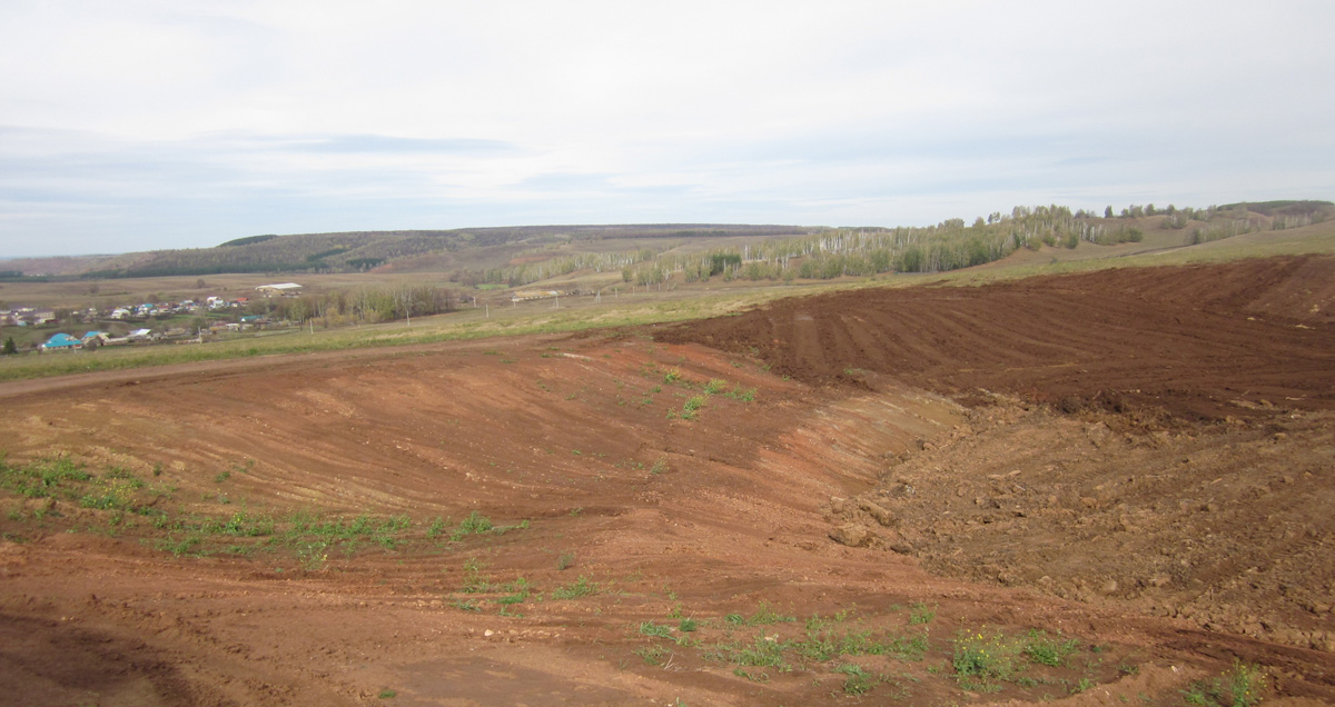 РЕКУЛЬТИВАЦИЯ НАРУШЕННЫХ ЗЕМЕЛЬ