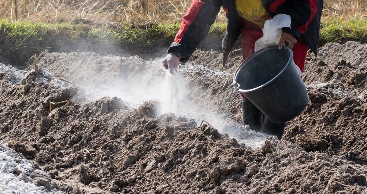 РЕКУЛЬТИВАЦИЯ ЗЕМЕЛЬ ВНЕСЕНИЕ УДОБРЕНИЙ