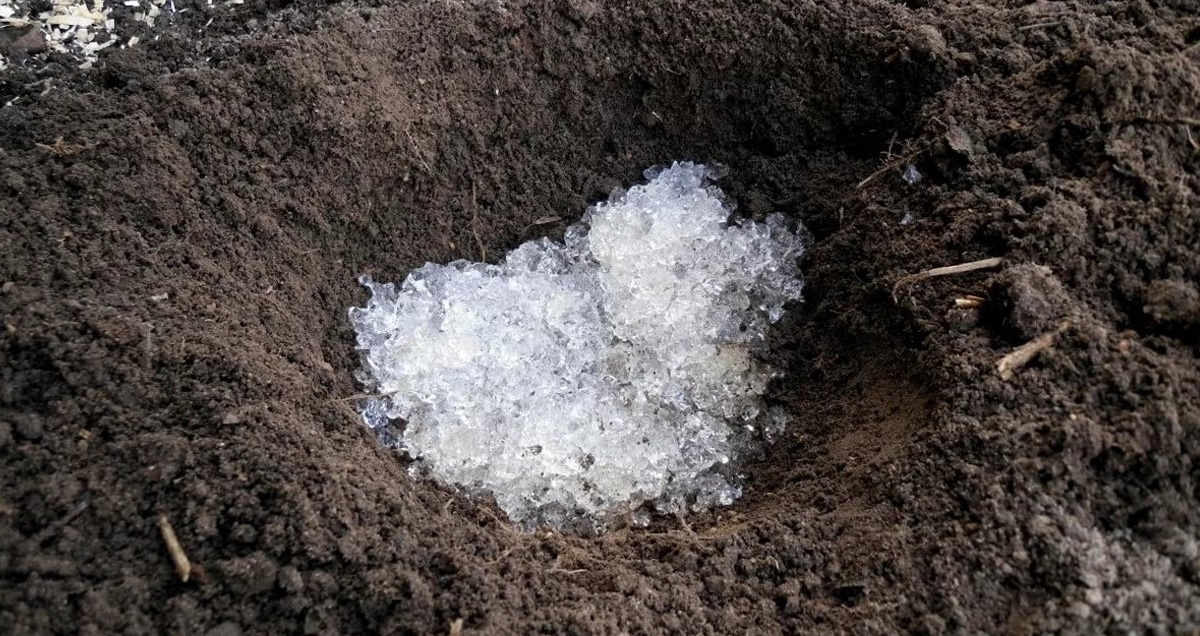 ВНЕСЕНИЕ ГИДРОГЕЛЯ В ПОЧВУ