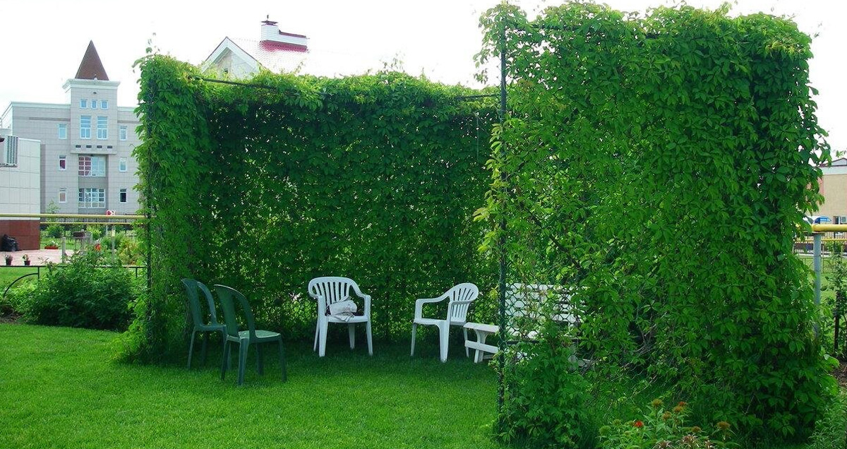 ЗЕЛЕНАЯ КОМНАТА В САДУ