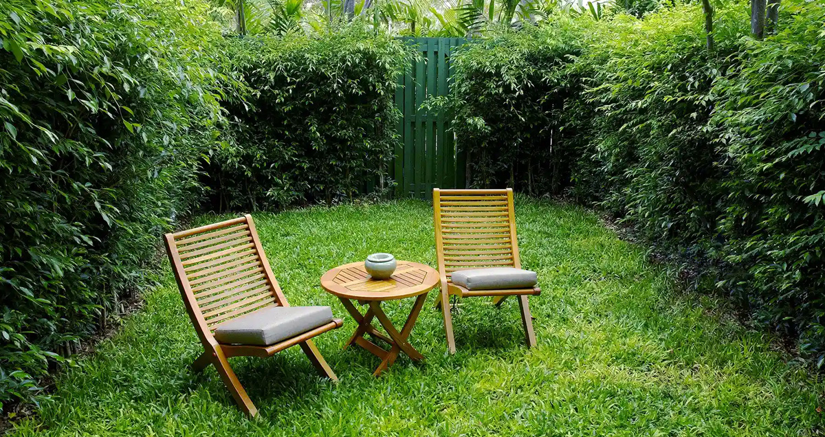 ГАЗОН НА ПЕСКЕ