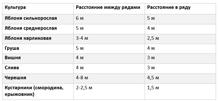 Расстояния между деревьями и кустарниками