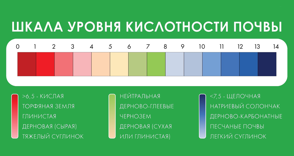 ШКАЛЫ PH КИСЛОТНОСТИ ПОЧВЫ