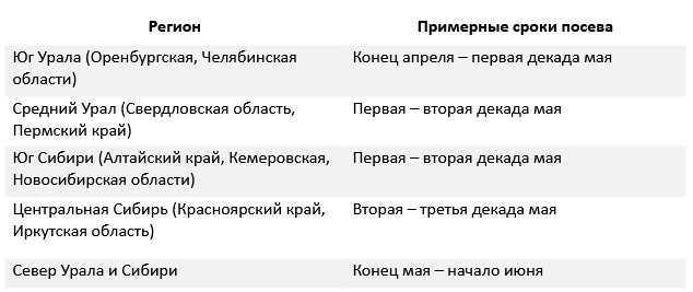 сроки посева газона для разных регионов